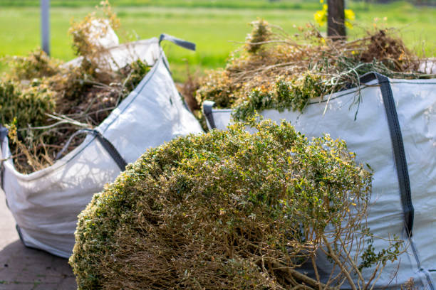 Best Professional Junk Removal  in Honeygo, MD